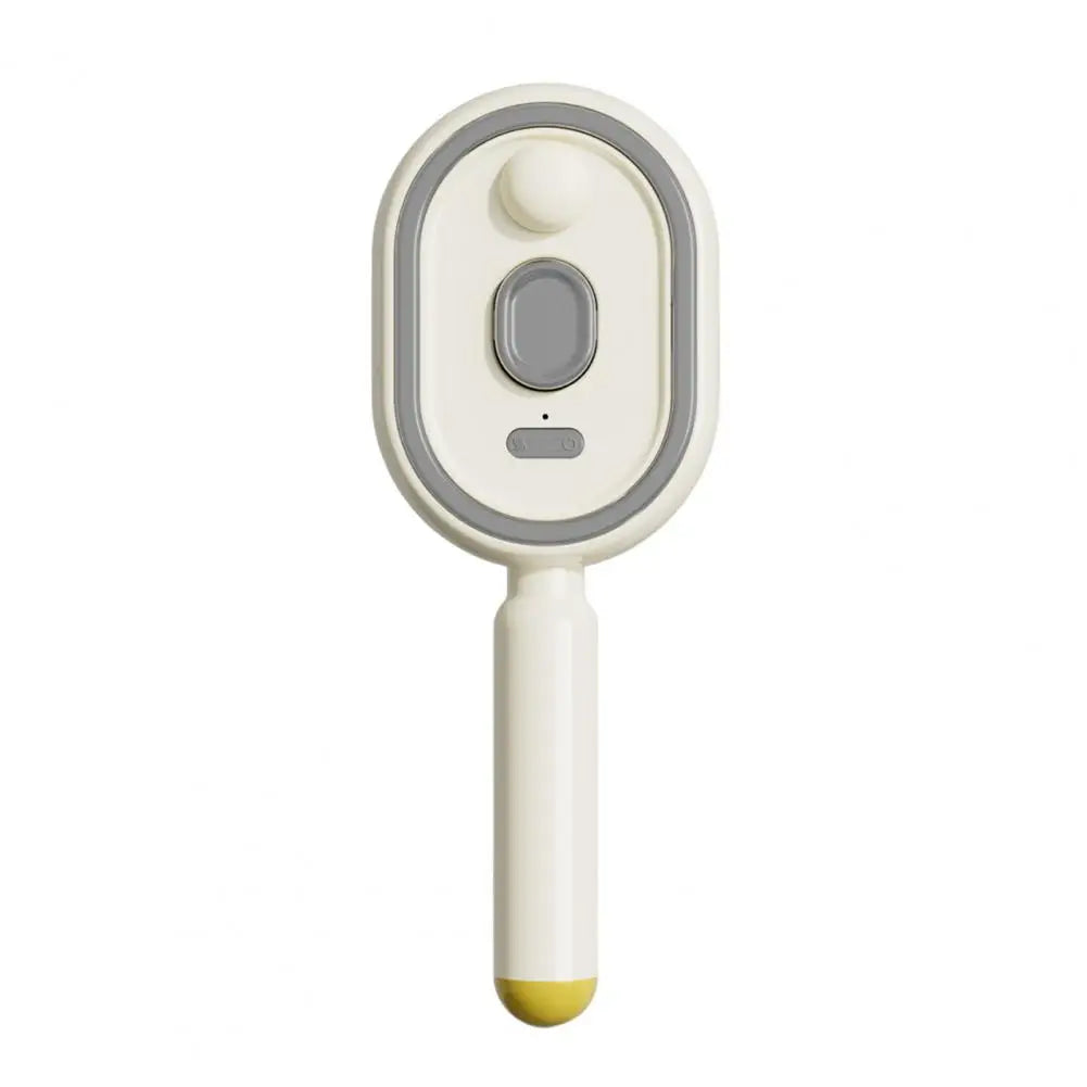 Mistique Hair Brush - 2-in-1 Anti-Frizz Spray