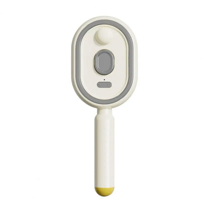 Mistique Hair Brush - 2-in-1 Anti-Frizz Spray