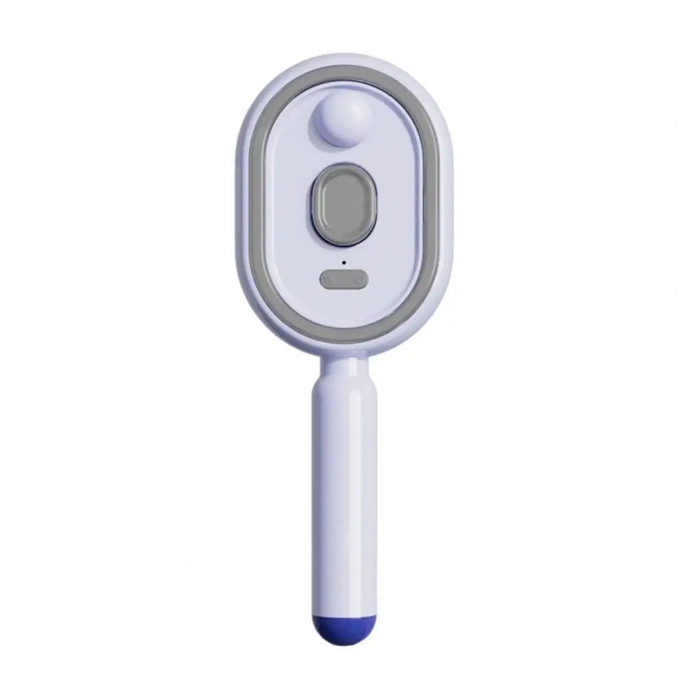 Mistique Hair Brush - 2-in-1 Anti-Frizz Spray