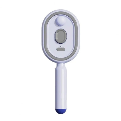 Mistique Hair Brush - 2-in-1 Anti-Frizz Spray